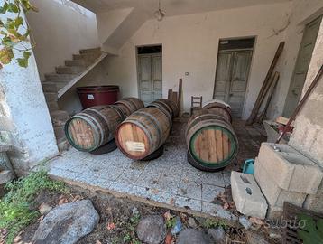 6 Botti da 100 litri