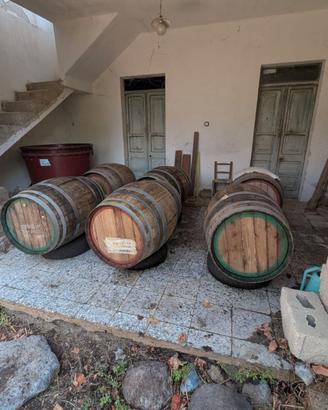 6 Botti da 100 litri