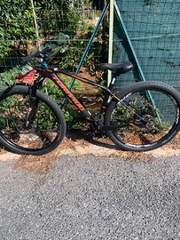 Bicicletta da donna