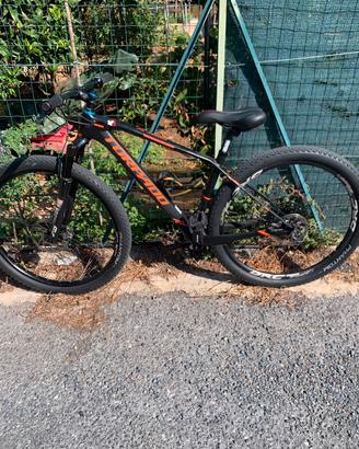Bicicletta da donna