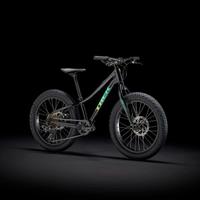 TREK ROSCOE 20 ALLOY DISC 8V corriere incluso