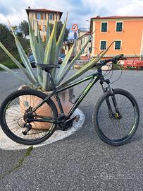 Mountain Bike Lombardo