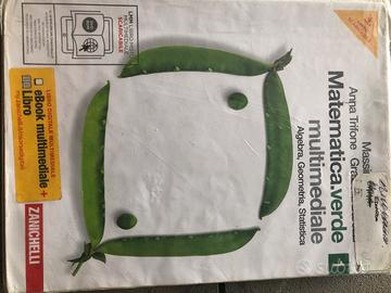 Matematica verde multimediale 1