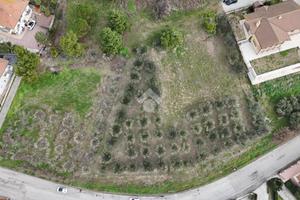 TER. AGRICOLO A ROSETO DEGLI ABRUZZI