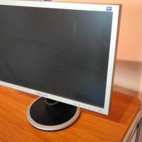 Monitor per pc 19 pollici