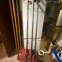 Canne da Carpfishing