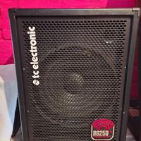 Amplificatore pet basso