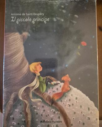 piccolo principe 