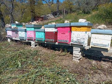 Nucleo/sciame di api