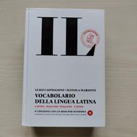 Dizionario di latino
