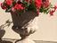 Immagine 23