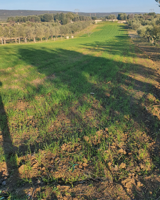 Terreno rustico