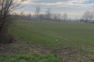 Arzergrande - Vallonga terreno agricolo di