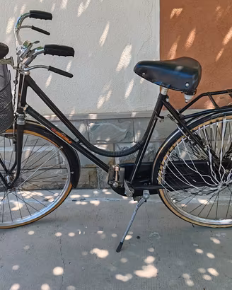 Bici d'Epoca Regina Donna Freni a Bacchetta - 26"

