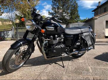 Triumph