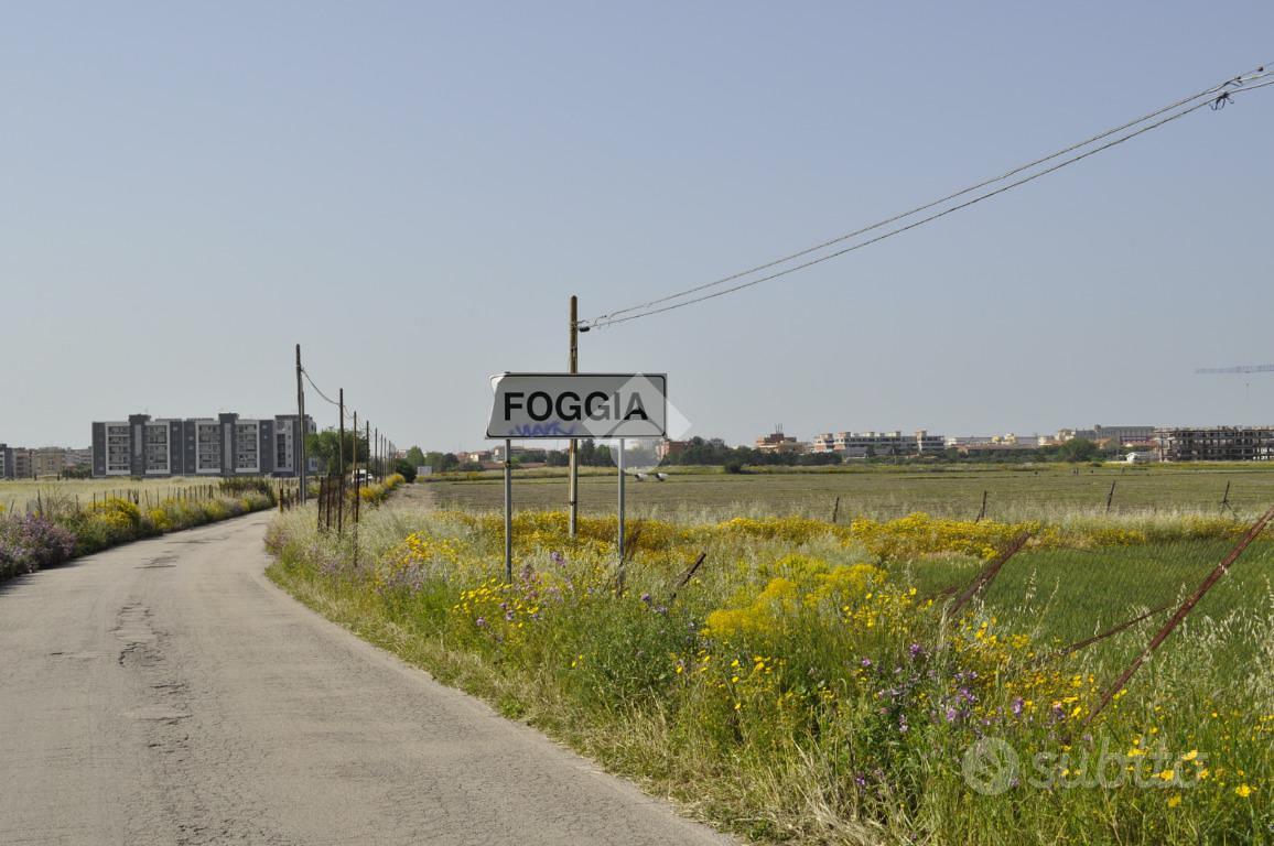 TER. AGRICOLO A FOGGIA - Vista 4