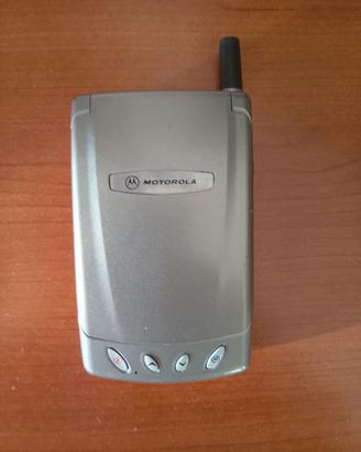 cellulare Motorola 