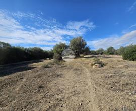 TER. AGRICOLO A QUARTUCCIU