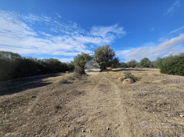 TER. AGRICOLO A QUARTUCCIU