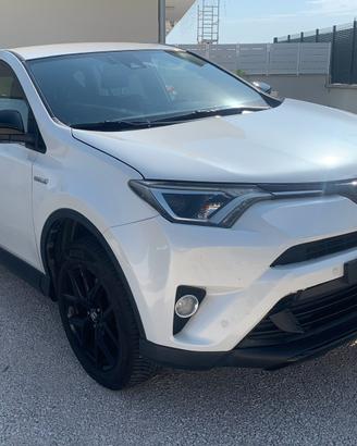 RAV 4 Ibrida 2018 Dynamic