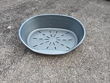 cesta cane