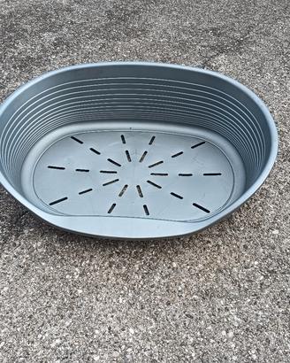 cesta cane