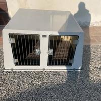 Trasportino kennel vetro resina