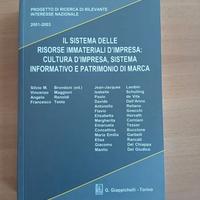 Il sistema delle risorse immateriali di impresa