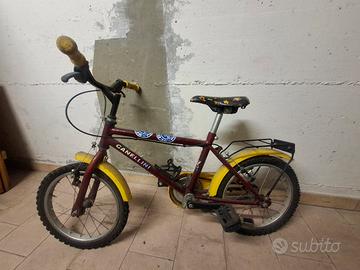bicicletta bambino