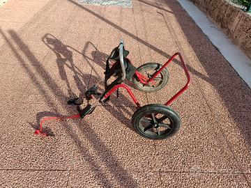 Carrellino cane disabile