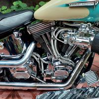 Harley davidson heritage softail 