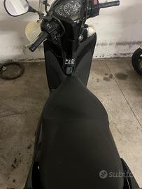 Sh 300 sport nero