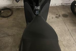 Sh 300 sport nero