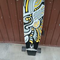 skateboard lungo da strada