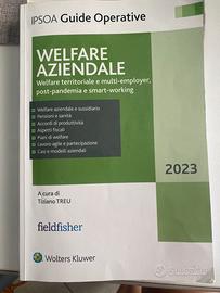 Libro welfare aziendale