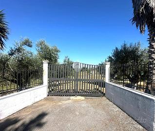 TER. AGRICOLO A ROMA