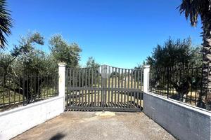 TER. AGRICOLO A ROMA