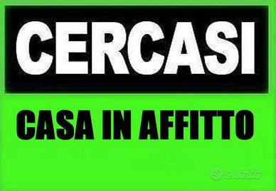 Tre locali piano terra zona desio/limitrofi