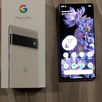 Google pixel 6 Pro 5g