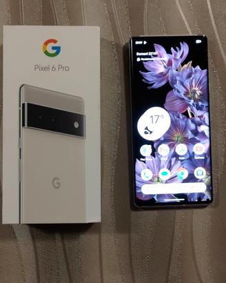 Google pixel 6 Pro 5g