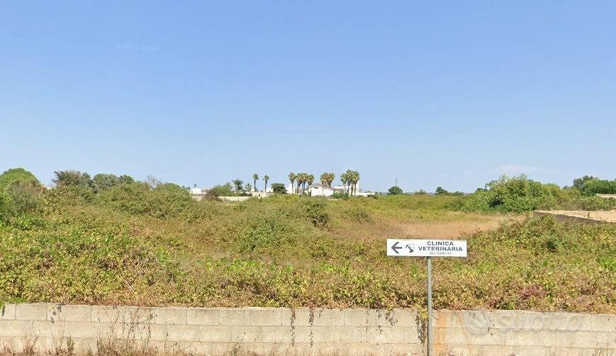 Terreno di 6657 m² a Taviano - Vista 2