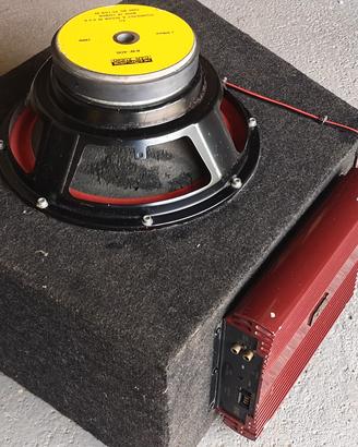 SUBWOOFER AUTO CON AMPLIFICATORE REVAC