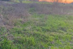 Terreno di 1753 m² a Fornovo San Giovanni