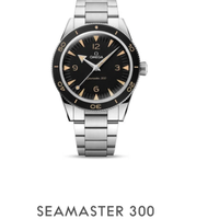 Omega seamaster  300