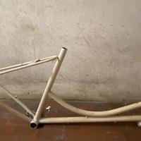 Telaio bici vintage