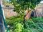Immagine 29