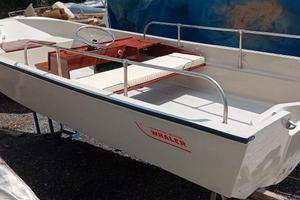 Boston Whaler 17
