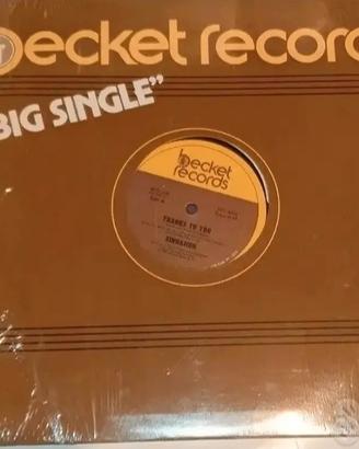 disco vinile sinnamon thanks to you
