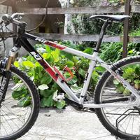 Mountain Bike KTM
