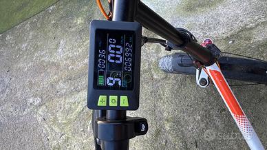 Fat bike